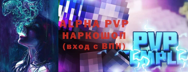 индика Арсеньев