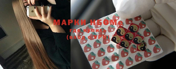 эйфоретик Аркадак
