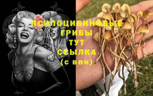 героин Армянск