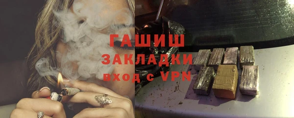 индика Арсеньев