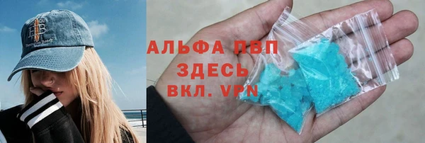 индика Арсеньев