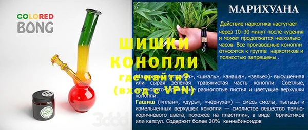индика Арсеньев