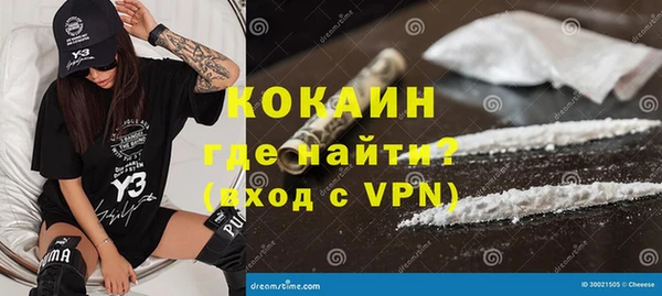 индика Арсеньев