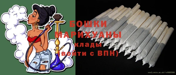 индика Арсеньев