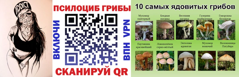 darknet как зайти  Сольвычегодск  Галлюциногенные грибы прущие грибы 