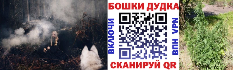 Каннабис Ganja дарк нет наркотические препараты Сольвычегодск цена наркотик